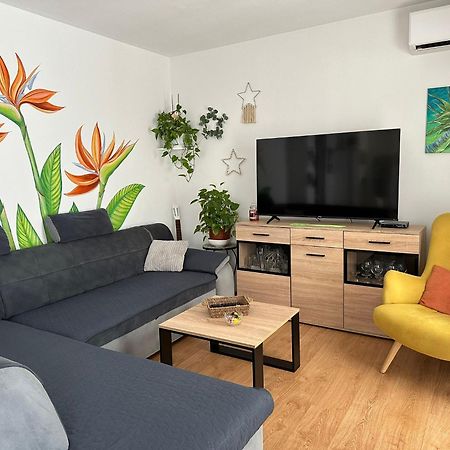Holiday Home Mirela Шишан Экстерьер фото